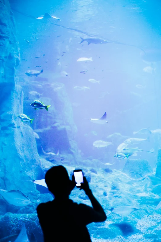 a man is taking a po through an aquarium's glass