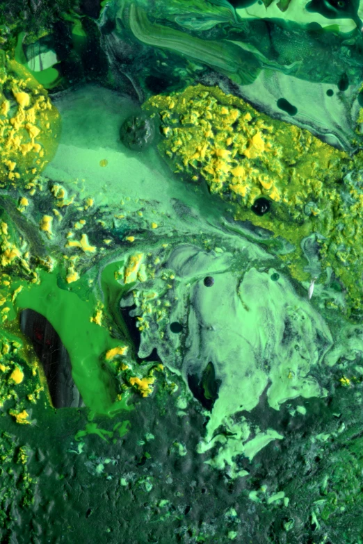 close up of green paint with yellow flower buds