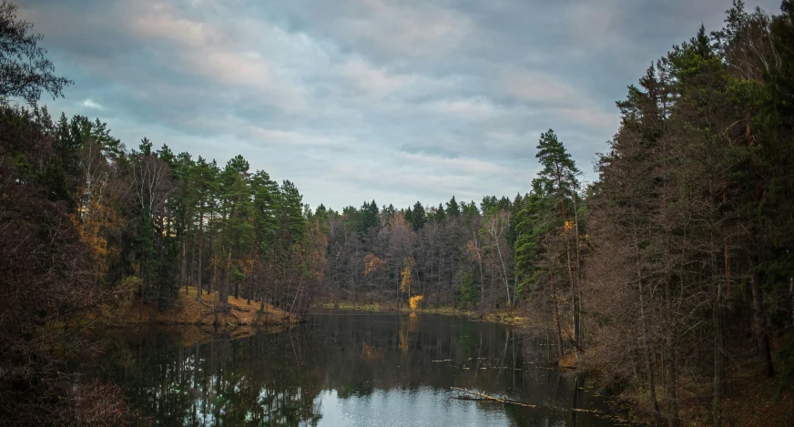 a peaceful scene is shown, with the water surrounded by wooded area