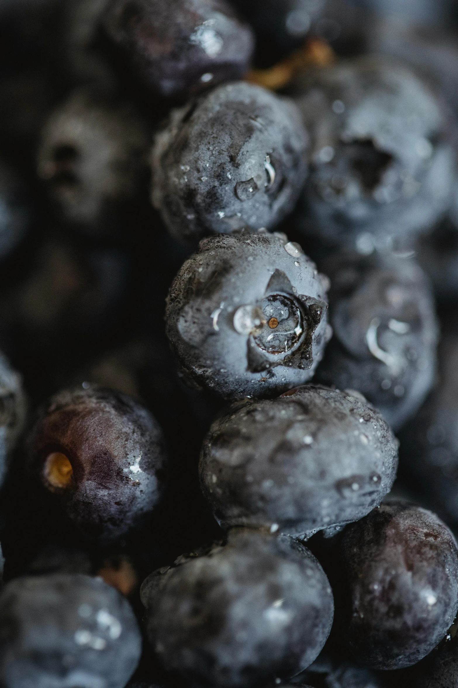 some blueberries with drops of dew on them