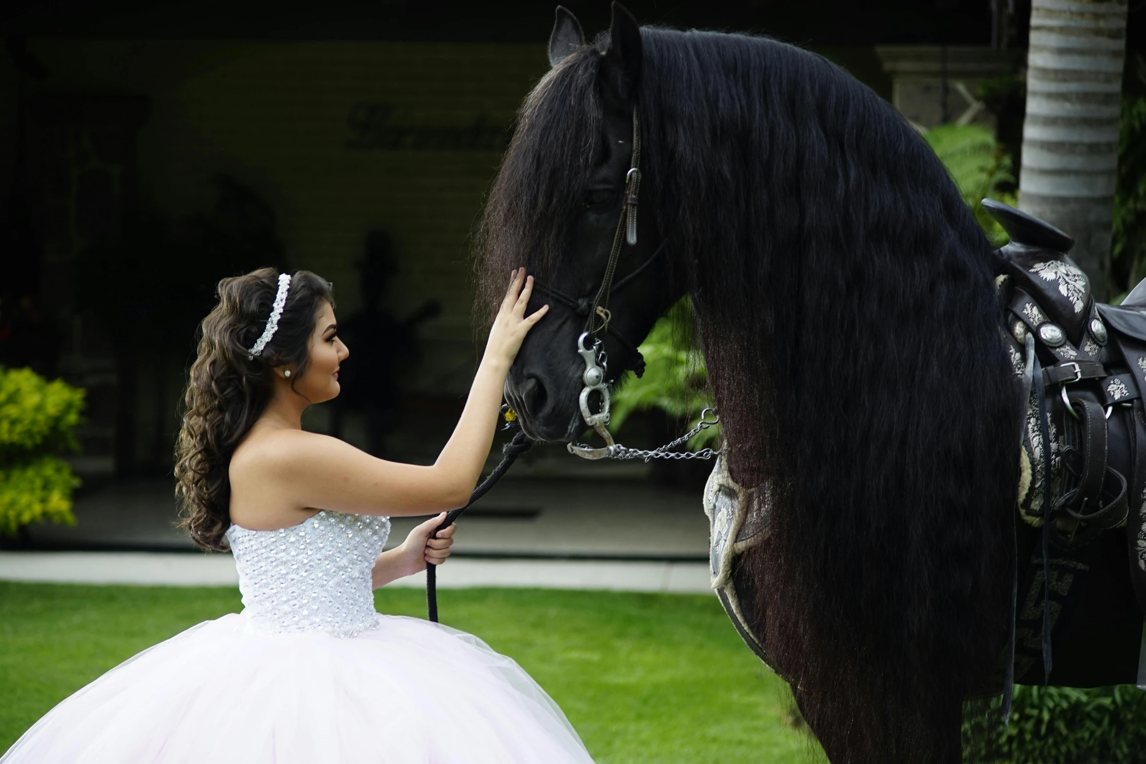 a girl is holding the bridle on a horse