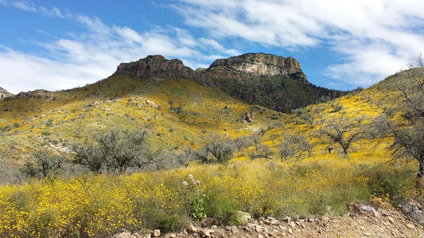 a mountain scene that is very scenic