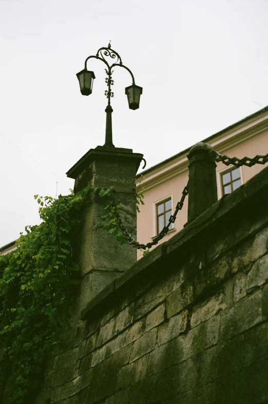 a building with windows and a light pole covered by vines