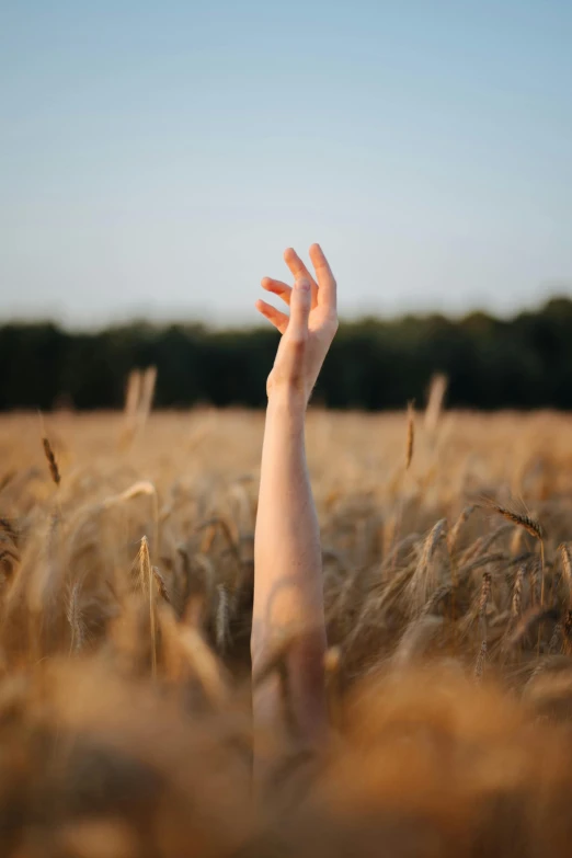 the hand of a person reaching up into the sky