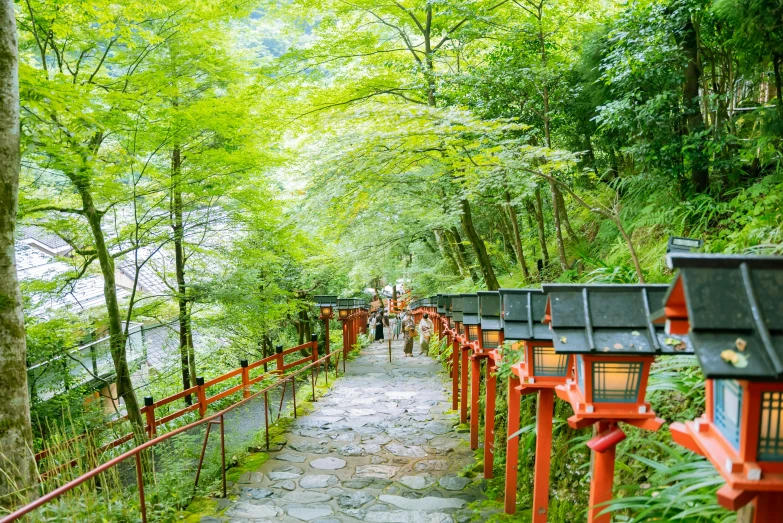 this is a path leading to several asian lanterns