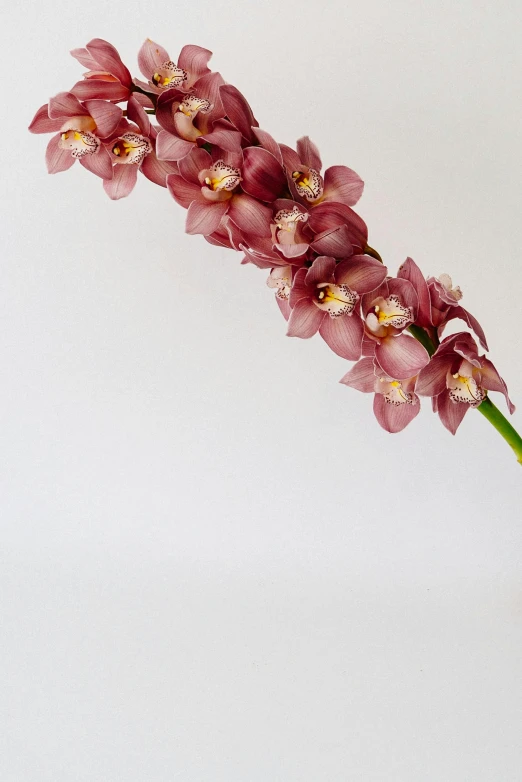 a vase filled with flowers on a table