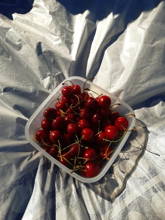 several fresh cherries in plastic container on white linen