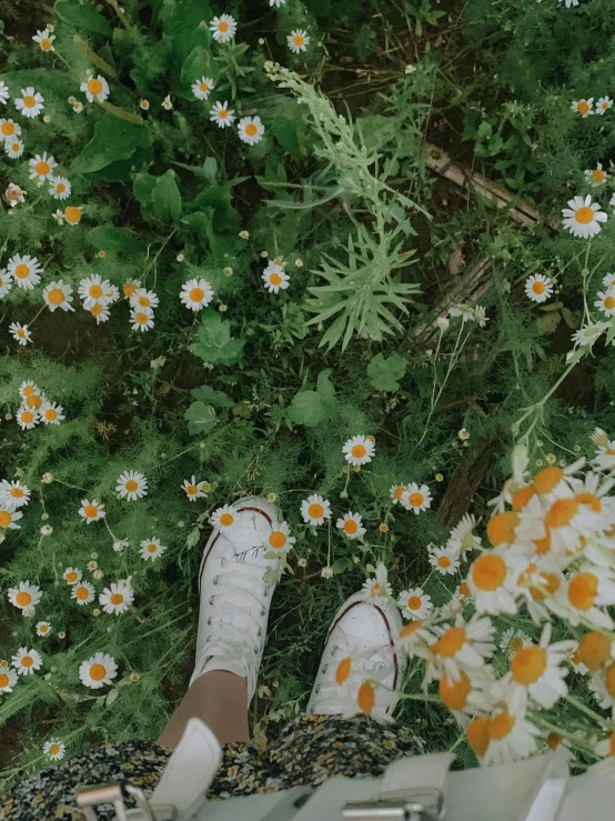 a person standing on a flower covered ground