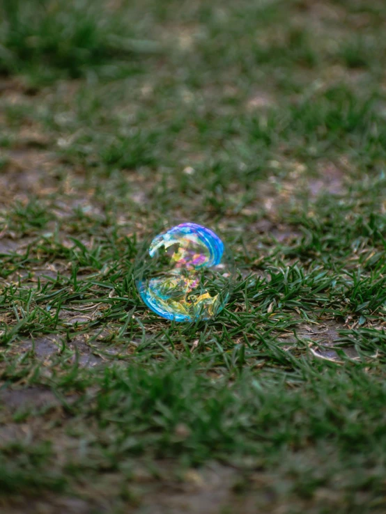 a bubble laying on the ground in the grass