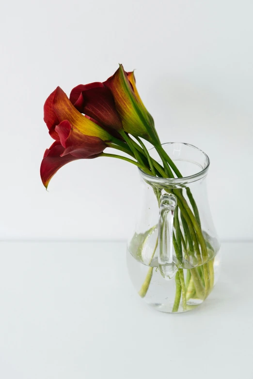 a vase with flowers sitting on the counter
