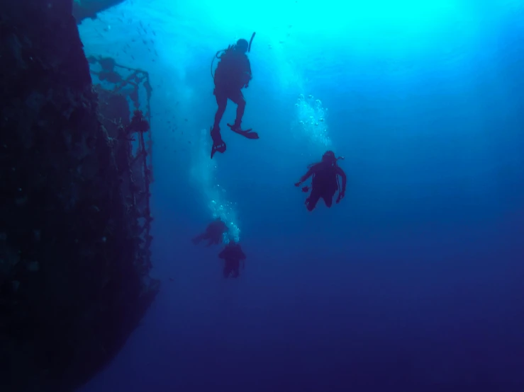 several people in wetsuits swimming under water