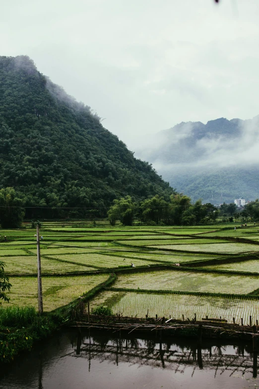 a grassy field and mountains in the background