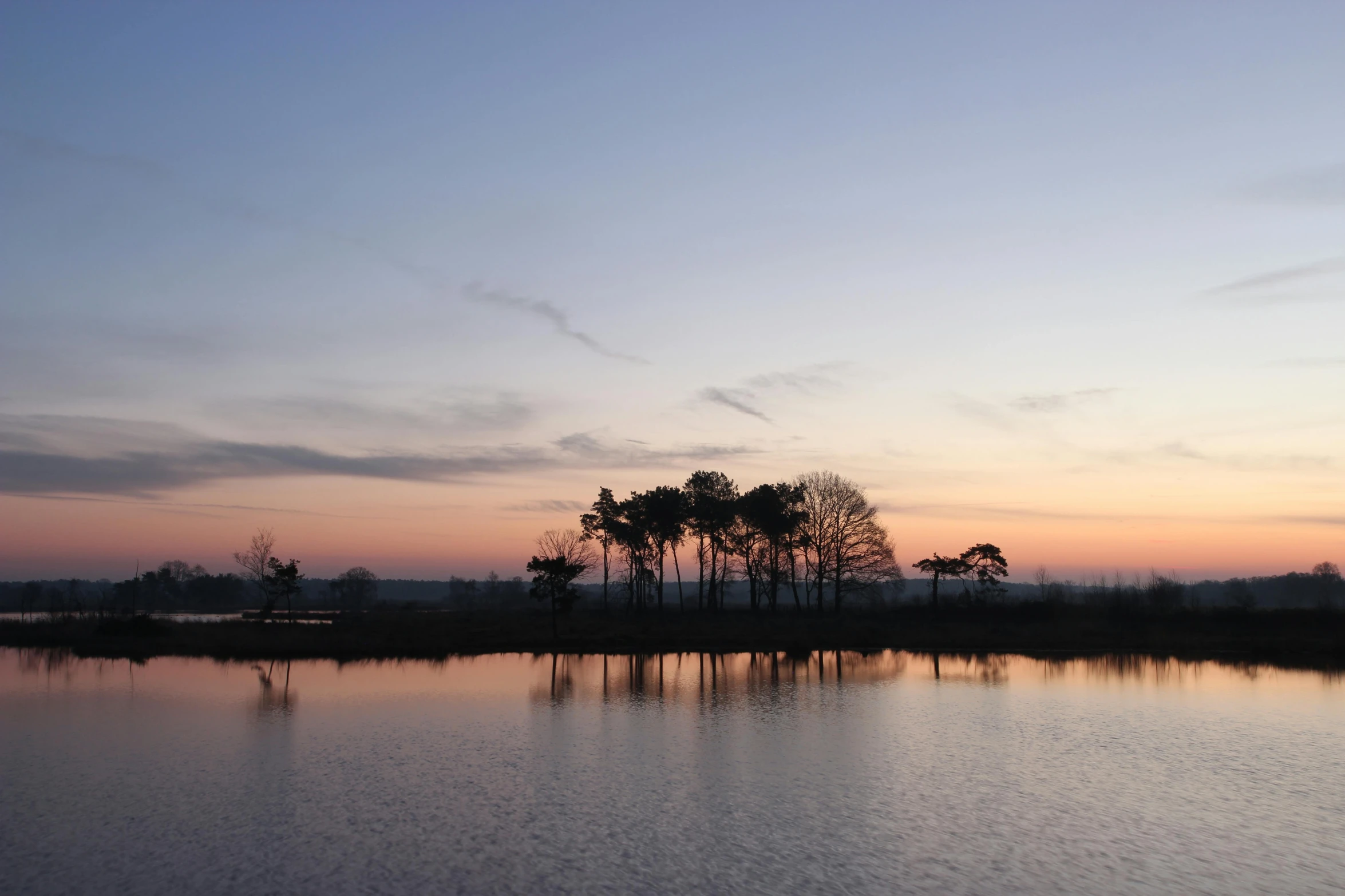 three trees silhouetted against a bright colored sky by the water