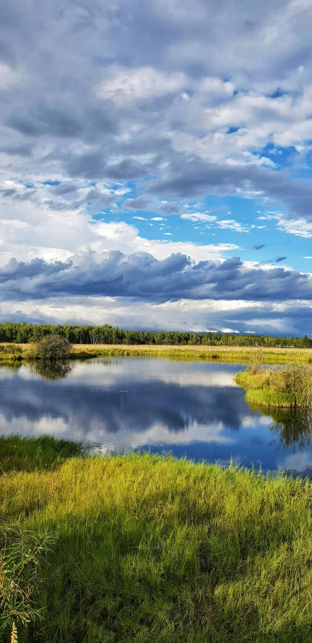 a pond surrounded by grass in a dry grass field