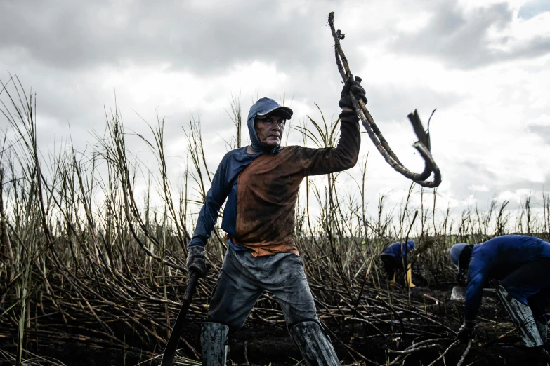 a group of men working with grass in the field