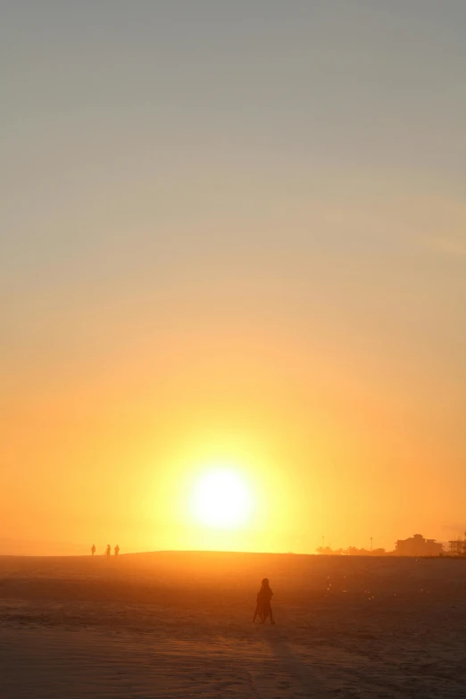 the man is walking along the beach with his dog