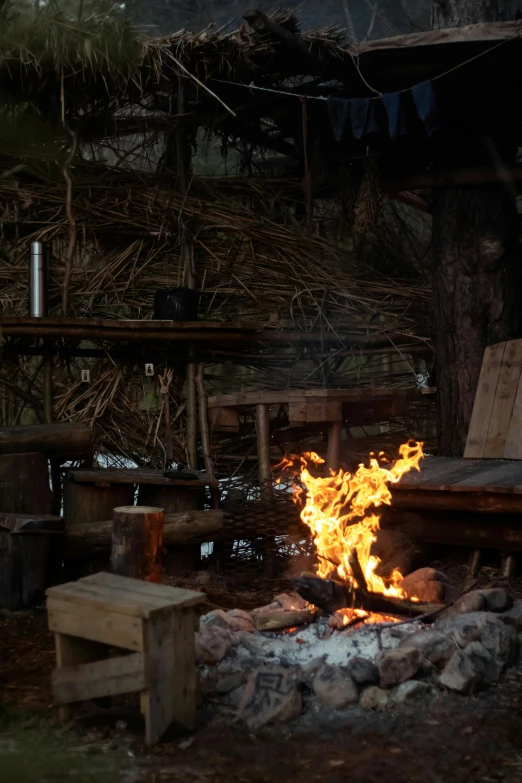 a fire blazing in the middle of a forest