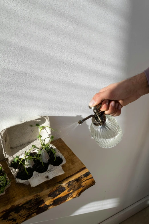 a person is squeezing soing with scissors in a tray of vegetables