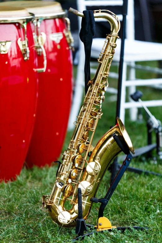 a saxophone sitting on top of a lush green field