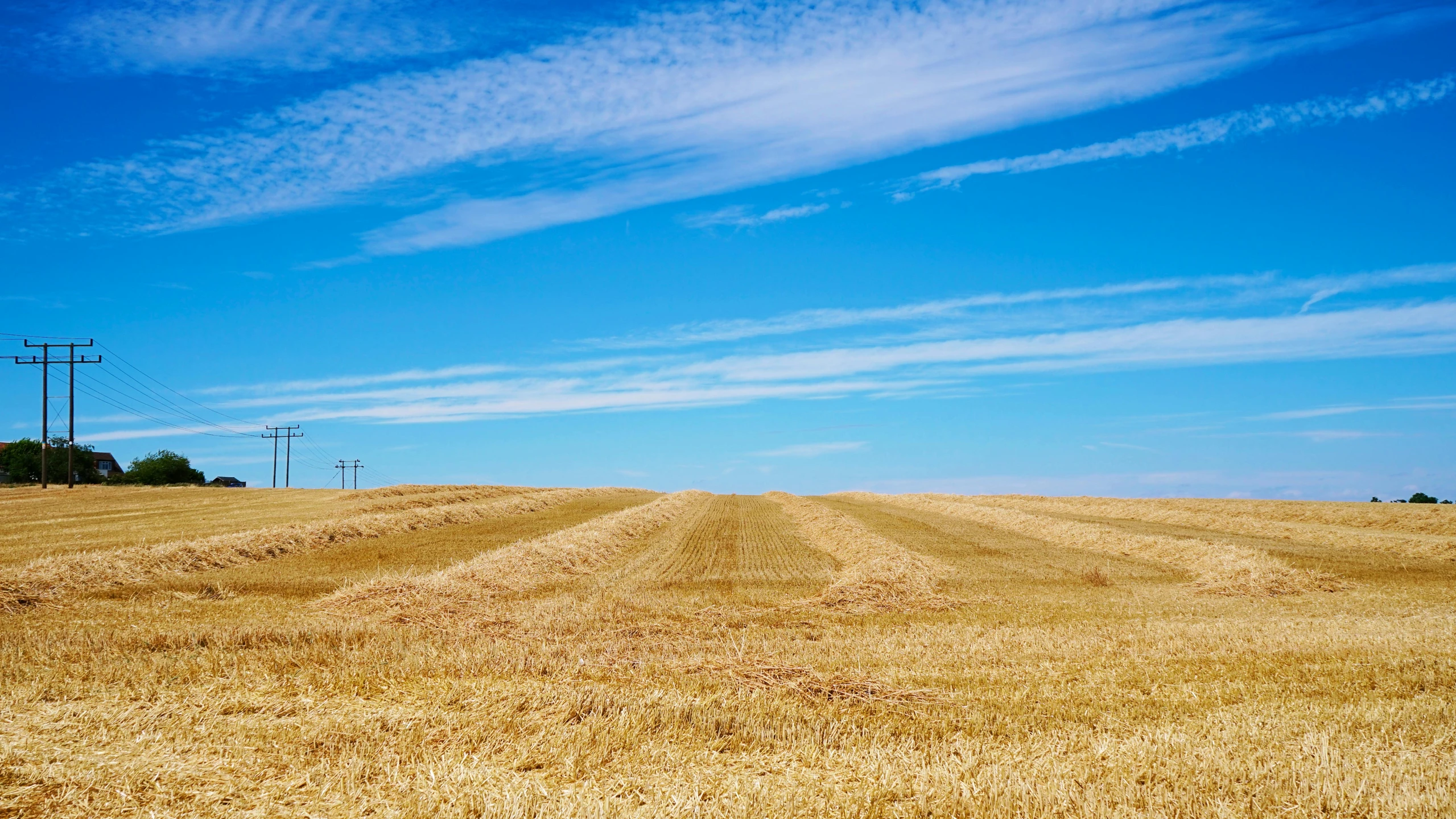 there is a field with an orange grass covered hill