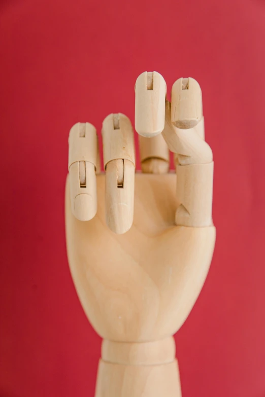 wood model of a hand with rings in it