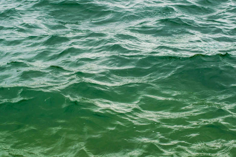 the water has been washed up to green color