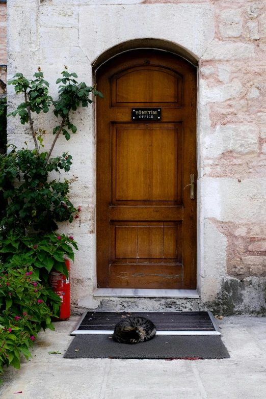 a cat laying down on the floor near a door