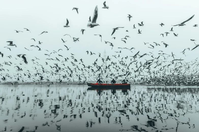 a large flock of birds are flying in the sky