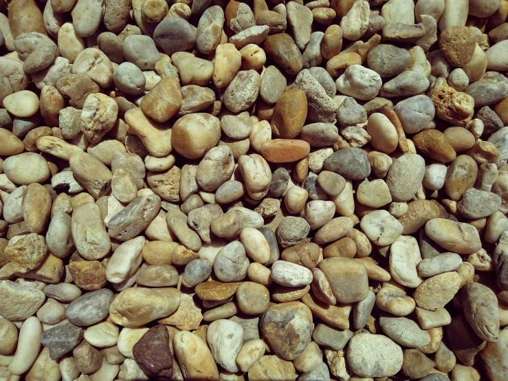 a group of rocks that are in a pile