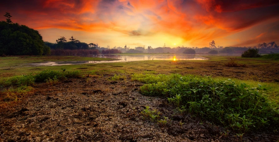 colorful red, orange and yellow sky behind an area with patches of grass and dirt