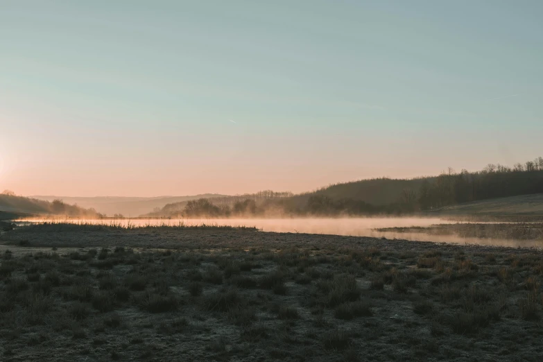 a fog covered field with the sun rising above trees