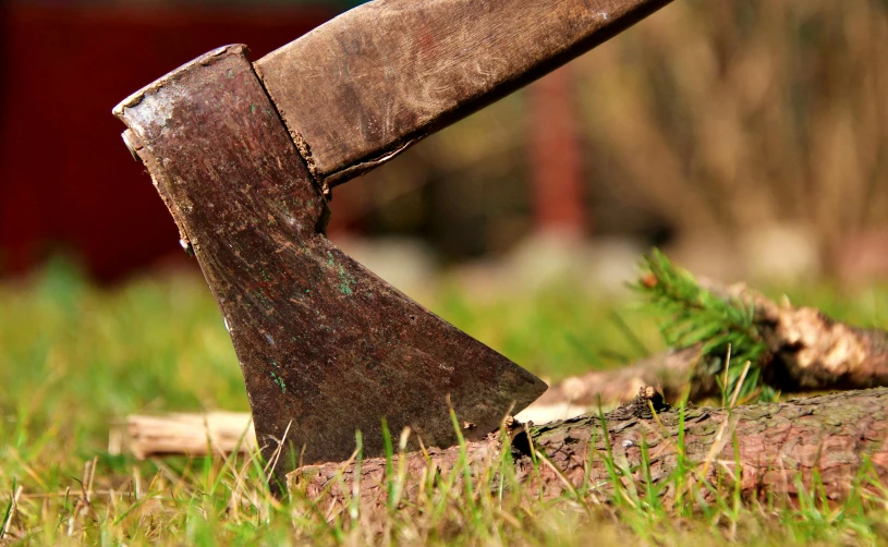 the axe has been used to chop logs