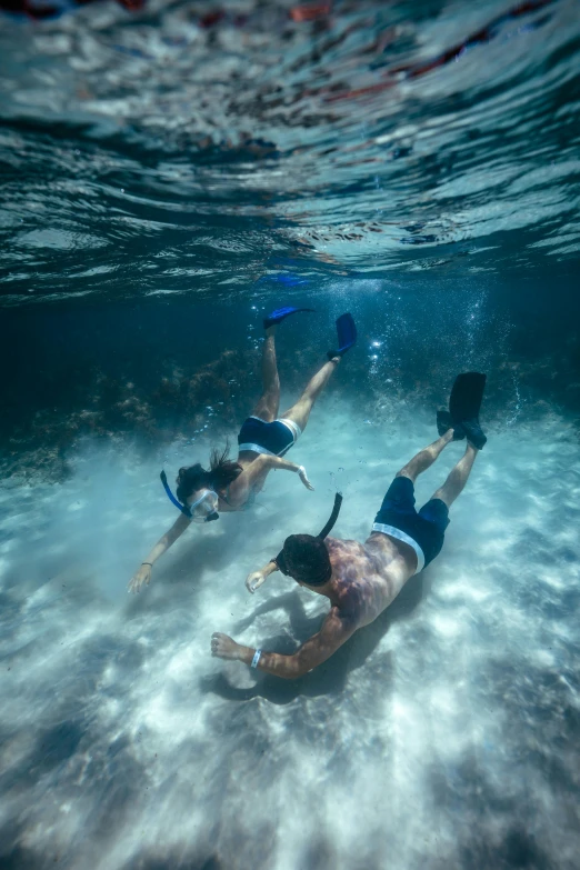 three swimmers are playing frisbee in the clear water