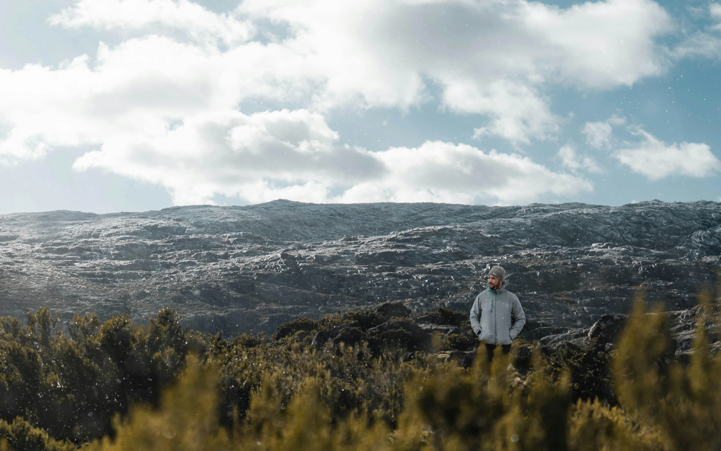 a person standing on a rock in the middle of some trees