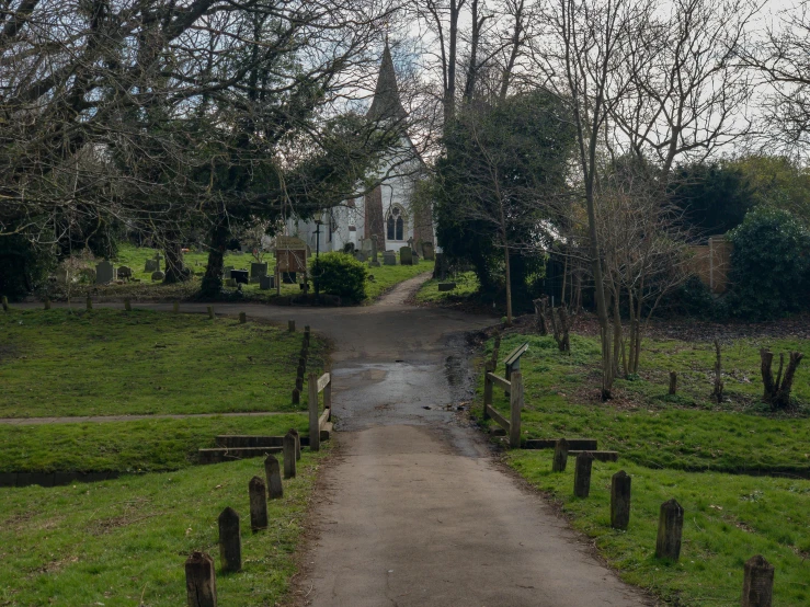 a pathway that is in the middle of two trees