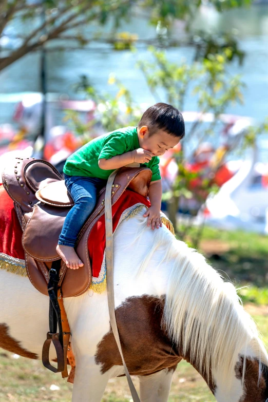 a boy riding on the back of a white and brown horse