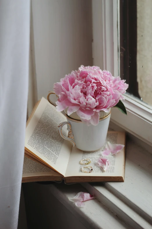 there is a flower in the mug next to an open book