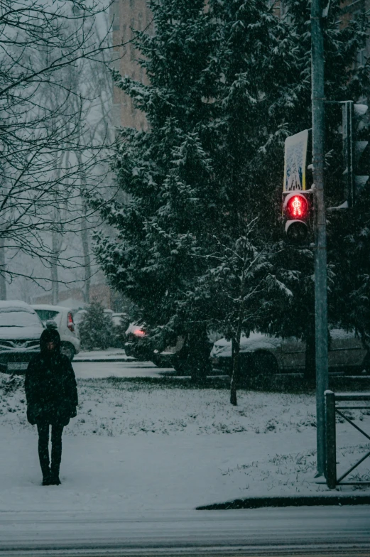 a person walks on a snow covered street