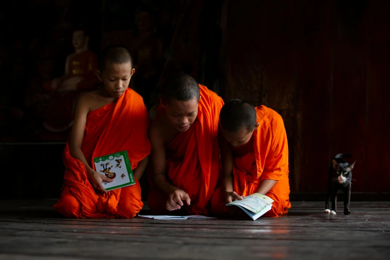 two monks studying a book together in front of a dog