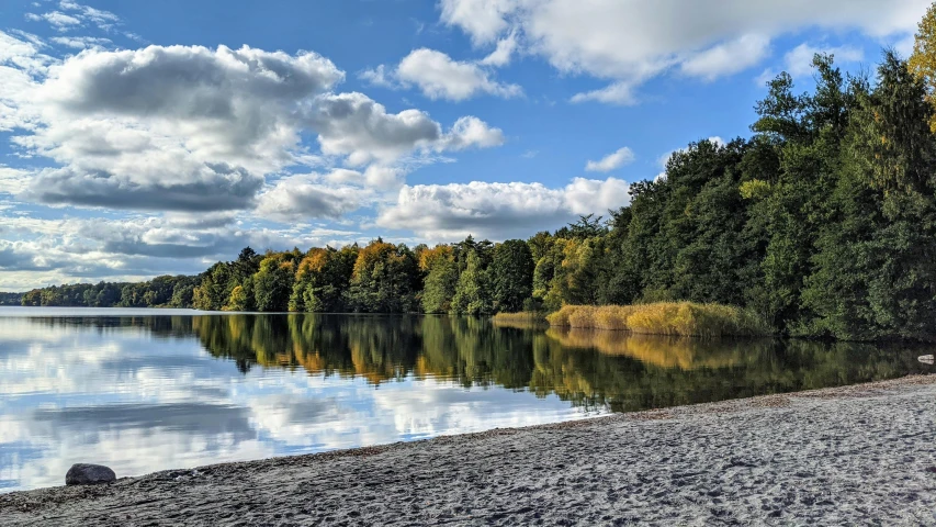 the trees around the water are changing color