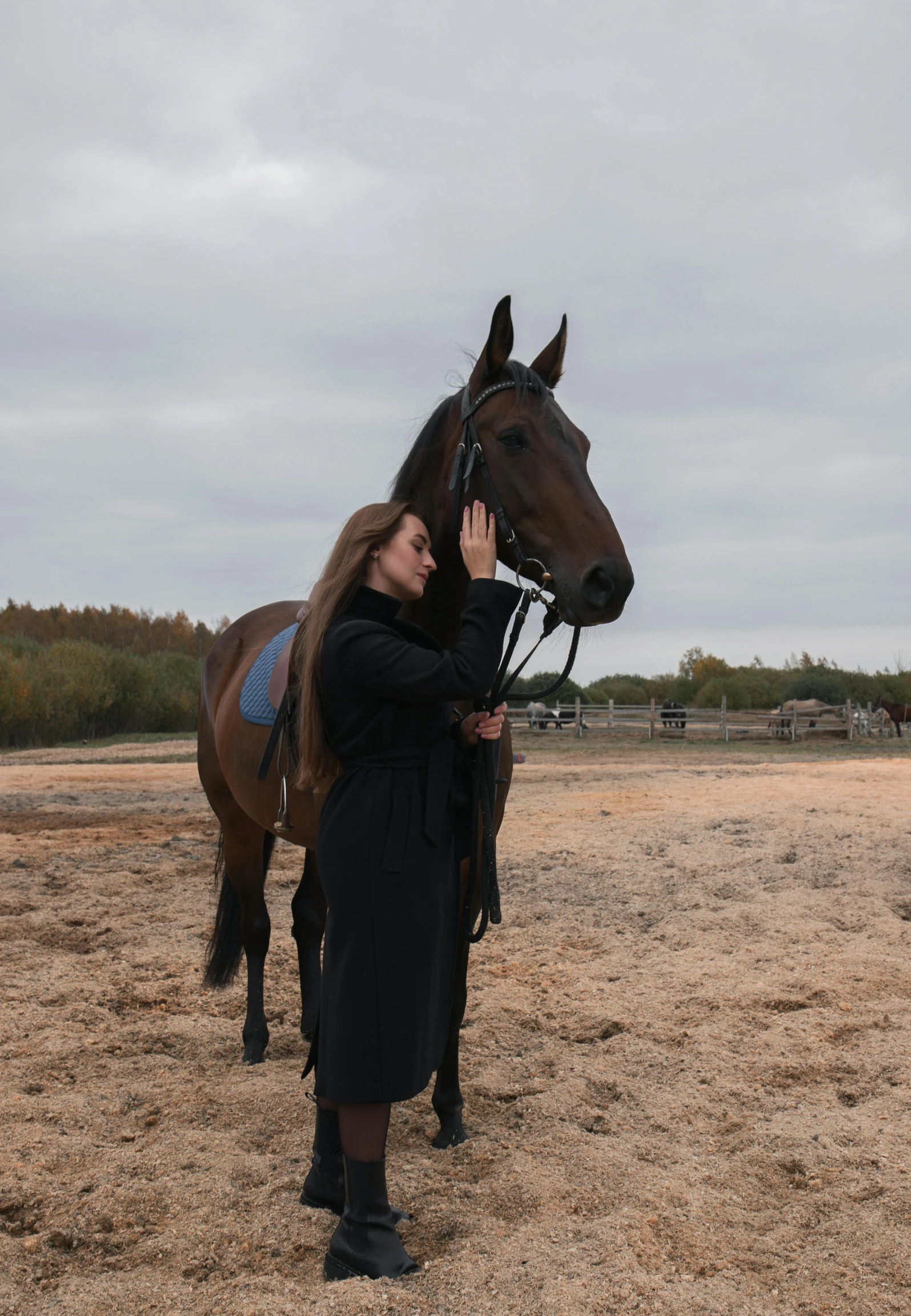 a lady standing next to a brown horse