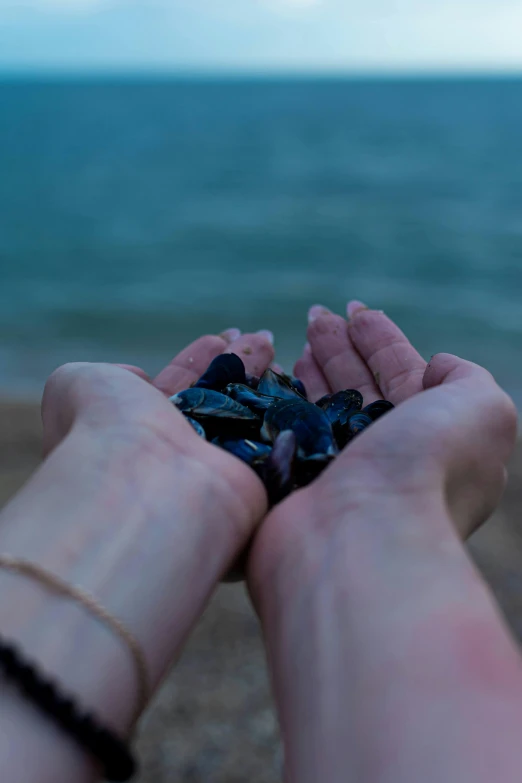 some kind of hand that is holding soing in the sand