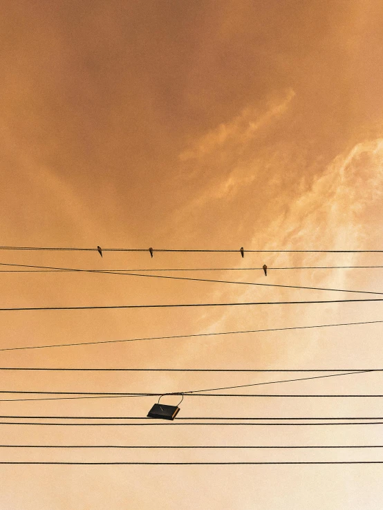 a view looking up at some power lines that have birds on them