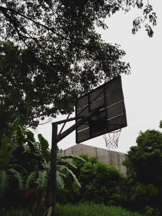 the basketball hoop is in front of a tree and the basketball basket is up above it
