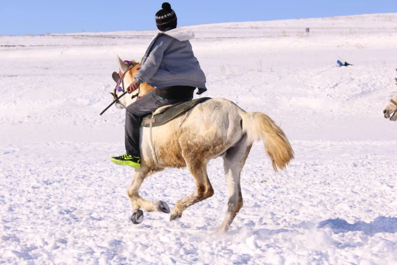 a person riding on a horse with some horses