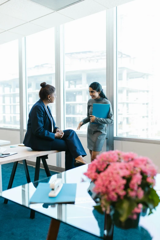 two women are in an office meeting together