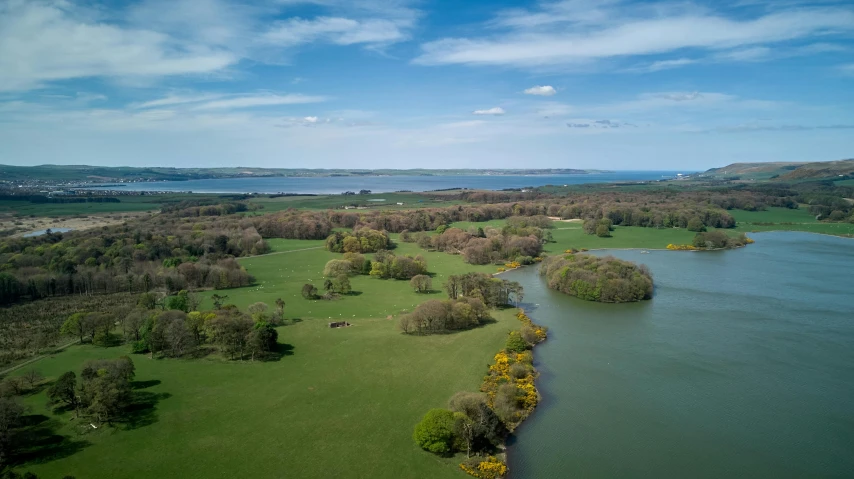 an aerial view of a pond surrounded by trees