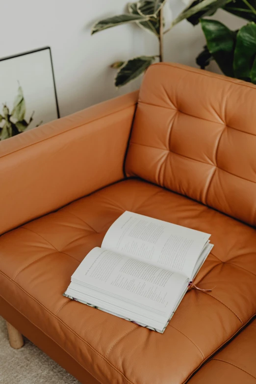 a book sitting on an orange leather chair with plant in the background