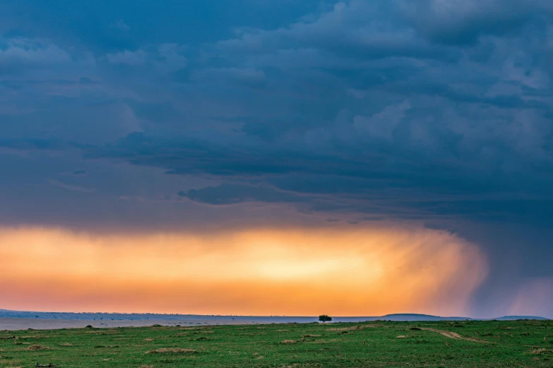 two giraffes are silhouetted by an orange sunset