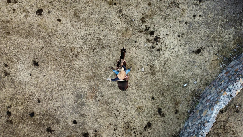 a person standing on the beach looking down